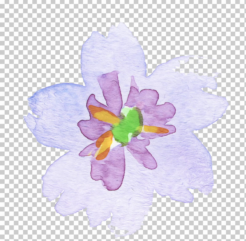 Petal Violet Flower Purple Plant PNG, Clipart, Anemone, Cattleya, Crocus, Cut Flowers, Flower Free PNG Download
