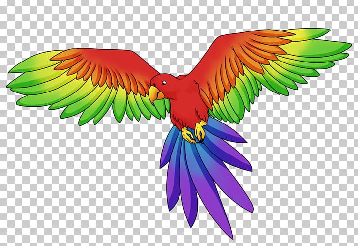 Budgerigar Parrot Macaw Rainbow Lorikeet Parakeet PNG, Clipart, Animals, Beak, Bird, Budgerigar, Common Pet Parakeet Free PNG Download