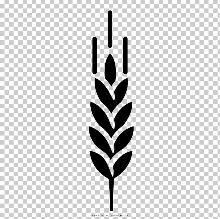 Grasses Barley Drawing Black And White Coloring Book PNG, Clipart, Barley, Black And White, Branch, Bread, Coloring Book Free PNG Download