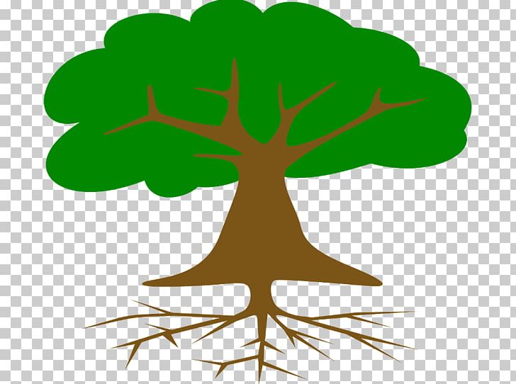 Root Tree Open Drawing PNG, Clipart, Branch, Can Stock Photo, Drawing, Flower, Flowering Plant Free PNG Download