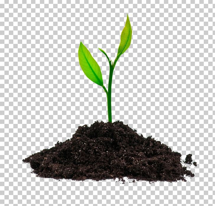 Agriculture Fertilisers Nutrient Health Marketing PNG, Clipart, Agriculture, Biofertilizer, Customer, Employee Benefits, Fertilisers Free PNG Download