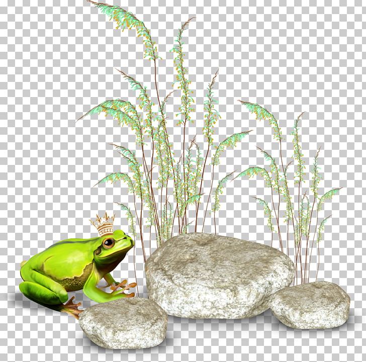 Frog Centerblog PNG, Clipart, Amphibian, Animals, Artificial Grass, Blog, Cartoon Grass Free PNG Download