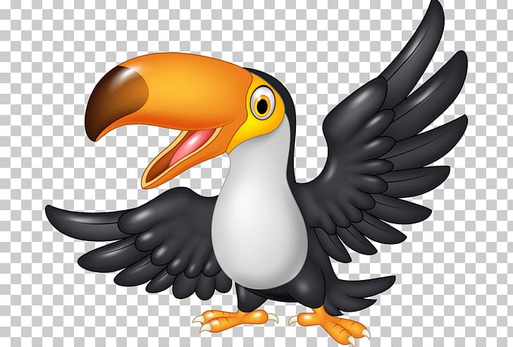 Graphics Toucan Illustration PNG, Clipart, Beak, Bird, Cartoon, Flightless Bird, Hornbill Free PNG Download