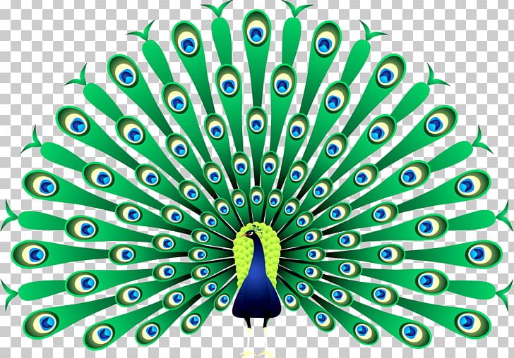 Peafowl PNG, Clipart, Animals, Art, Beak, Clip Art, Decorative Fan Free PNG Download
