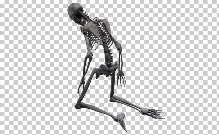 Skeleton PNG, Clipart, Skeleton Free PNG Download