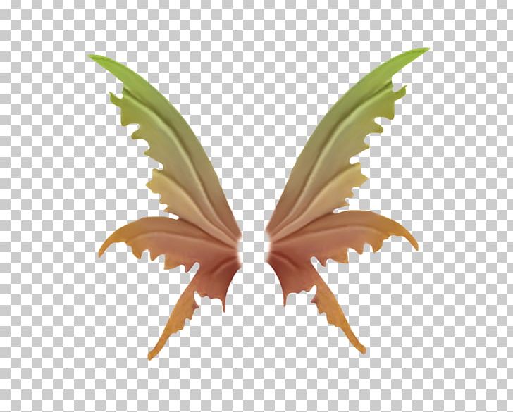 Wing PNG, Clipart, Angel Wing, Angel Wings, Animation, Butterfly, Chicken Wings Free PNG Download