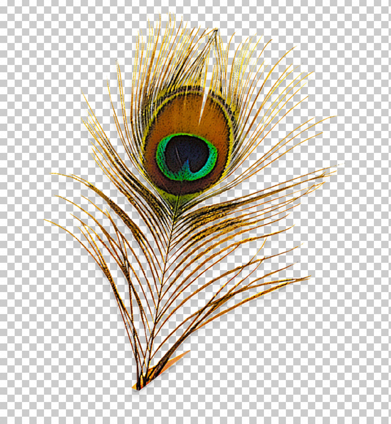 Feather PNG, Clipart, Animal Product, Eye, Feather, Natural Material, Quill Free PNG Download
