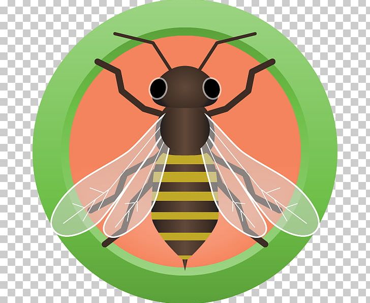 Bee Mead Brown Ale Lager PNG, Clipart, Ale, Arthropod, Austin Homebrew Supply, Bee, Brown Ale Free PNG Download