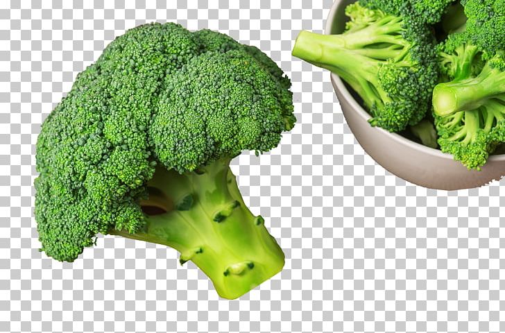 Broccoli Cauliflower Vegetable Food Brussels Sprout PNG, Clipart, Brassica Oleracea, Broccoflower, Broccoli, Cauliflower, Chinese Cabbage Free PNG Download