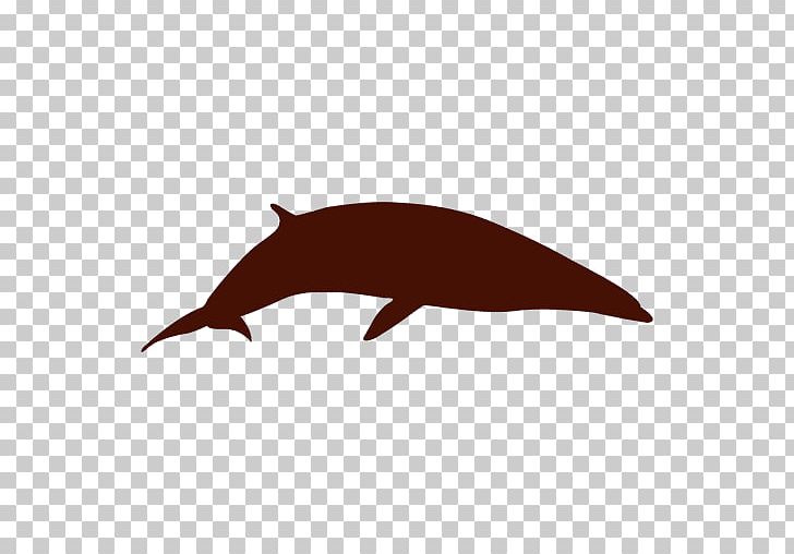 Dolphin Whale Silhouette PNG, Clipart, Animals, Baleen Whale, Beak, Carnivoran, Cetacea Free PNG Download