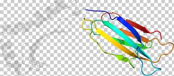 Line Point PNG, Clipart, Area, Art, Cyclindependent Kinase 1, Line, Organism Free PNG Download