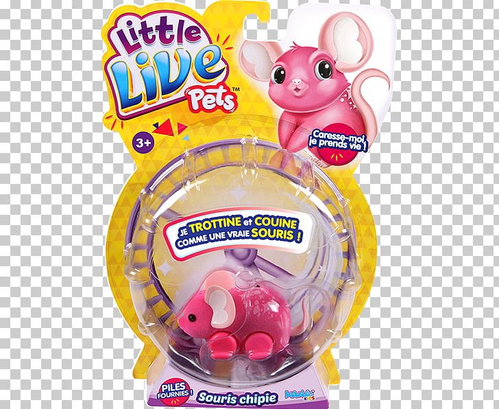 Little Live Pets Lil' S1 Mouse Fancy Mouse PNG, Clipart,  Free PNG Download