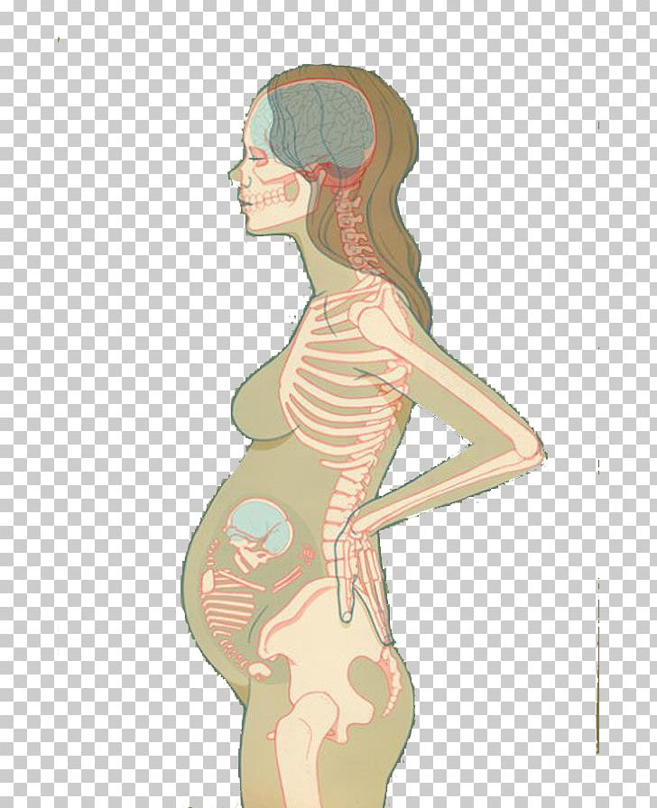 U5b55u5987 Illustration PNG, Clipart, Abdomen, Arm, Bones, Cartoon, Fashion Illustration Free PNG Download