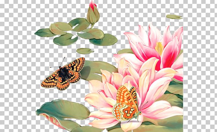 Butterfly Water Lily Lotus PNG, Clipart, Butterflies And Moths, Butterfly, Cut Flowers, Download, Flower Free PNG Download