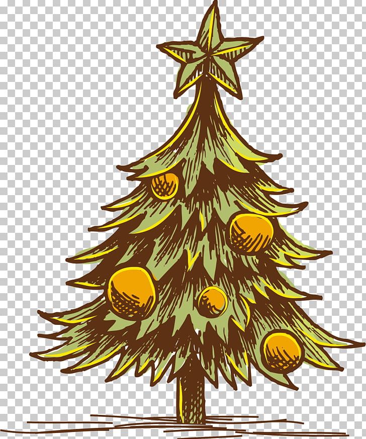 Christmas Tree Christmas Ornament PNG, Clipart, Branch, Christmas, Christmas Decoration, Christmas Ornament, Christmas Tree Free PNG Download