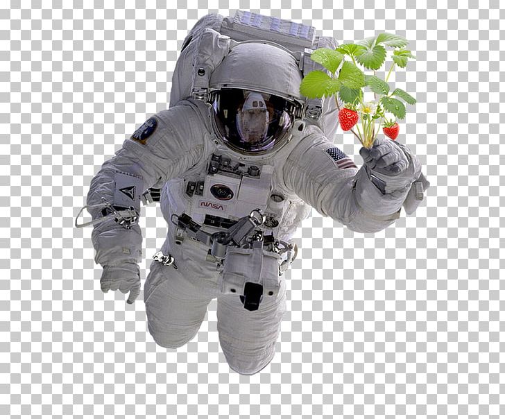 Fallen Astronaut Outer Space Space Suit NASA PNG, Clipart, Astronaut, David Scott, Fallen Astronaut, Life Support System, Nasa Free PNG Download