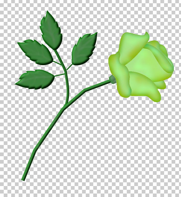 Garden Roses Cut Flowers Bud PNG, Clipart, Branch, Branching, Bud, Cut Flowers, Flora Free PNG Download