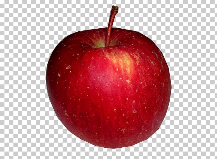 McIntosh Apple Red PNG, Clipart, Apple, Apple Fruit, Apple Logo, Apple Tree, Auglis Free PNG Download