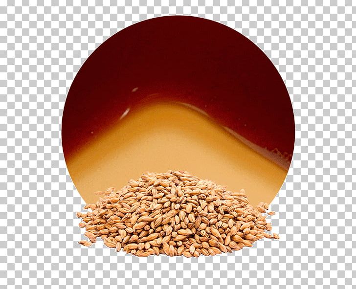 Beer Malt Cereal Grain Barley PNG, Clipart, Barley, Beer, Cereal, Cereal Germ, Commodity Free PNG Download