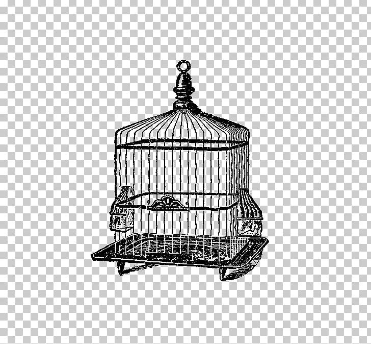 Birdcage Domestic Canary Birdcage PNG, Clipart, Animals, Antique, Aviary, Bird, Birdcage Free PNG Download