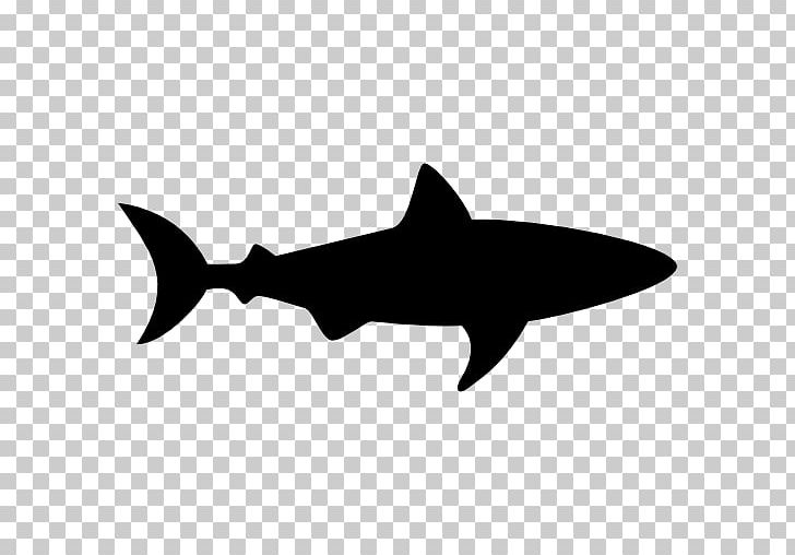 Hammerhead Shark PNG, Clipart, Animal, Animals, Black And White, Cartilaginous Fish, Drawing Free PNG Download