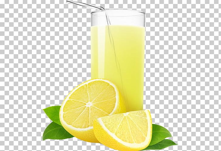 Lemon Juice Lemonade Orange Juice PNG, Clipart, Apple, Citric Acid, Citrus, Concentrate, Diet Food Free PNG Download