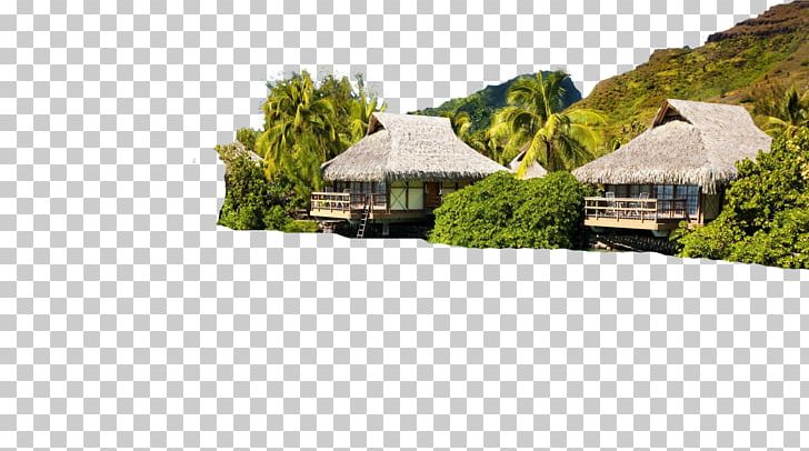 Phú Quốc Phi Phi Islands Langkawi Atlantis Bahamas PNG, Clipart, Atlantis, Bahamas, Beach, Cottage, Estate Free PNG Download
