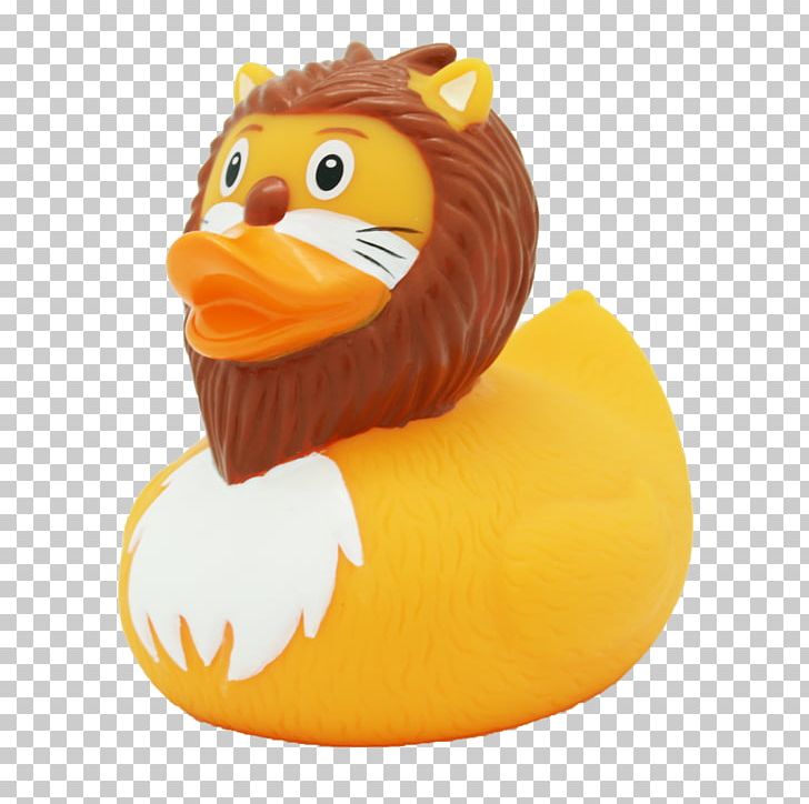 Rubber Duck Lion Natural Rubber Baby Ducks PNG, Clipart, Amsterdam Duck Store, Anatini, Animals, Baby Ducks, Bathing Free PNG Download