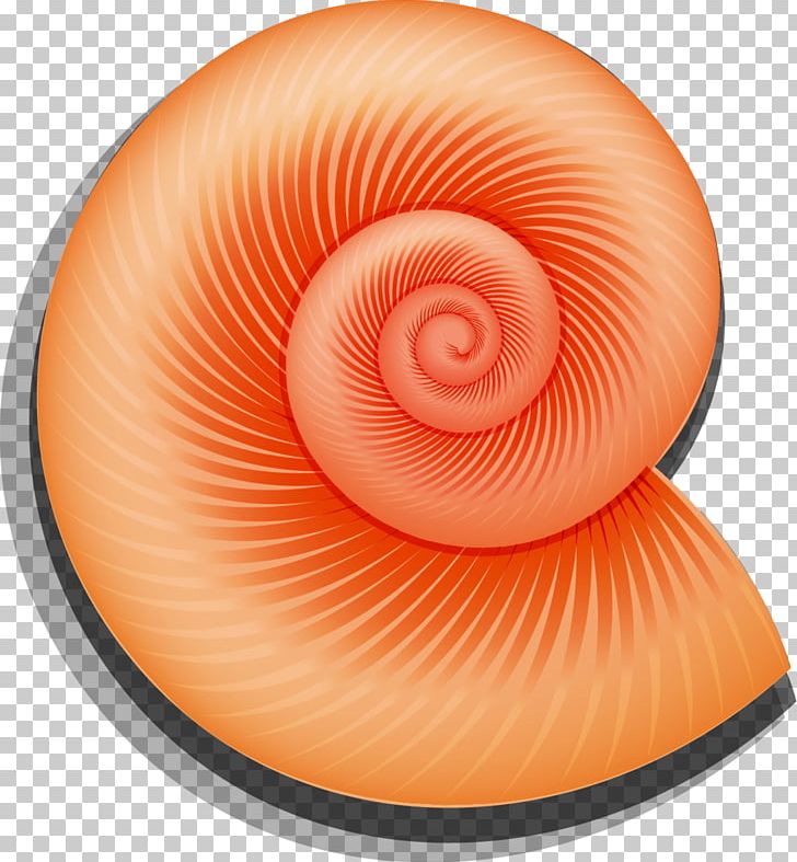 Orthogastropoda Icon PNG, Clipart, Animals, Breath, Circle, Download, Fresh Free PNG Download