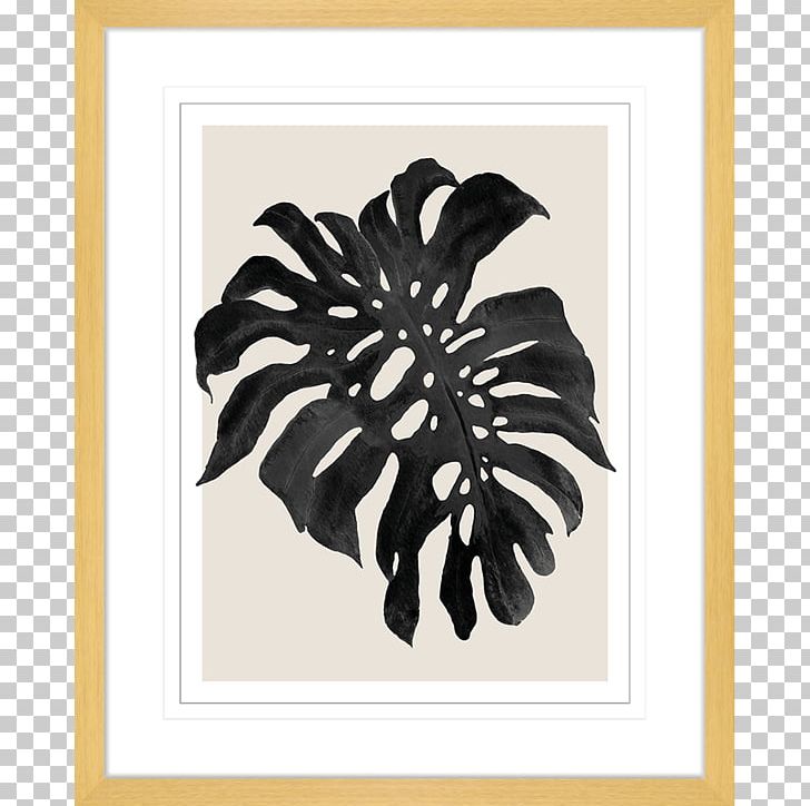Swiss Cheese Plant Frames Art Canvas Print PNG, Clipart, Art, Canvas, Canvas Print, Flower, Giclee Free PNG Download