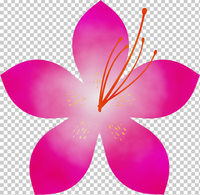 Petal Pink Flower Plant Frangipani PNG, Clipart, Azalea, Azalea Flower, Butterfly, Flower, Frangipani Free PNG Download