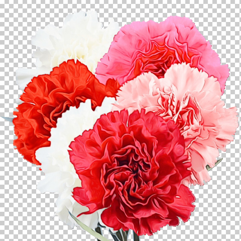 Floral Design PNG, Clipart, Annual Plant, Artificial Flower, Cabbage Rose, Carnation, Cut Flowers Free PNG Download