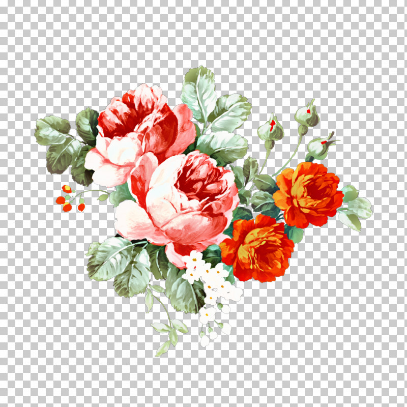 Garden Roses PNG, Clipart, Bouquet, Camellia, Carnation, Chinese Peony, Cut Flowers Free PNG Download