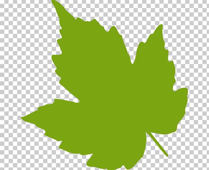 Grape Leaves Grapevines Leaf PNG, Clipart, Autumn Leaf Color, Drawing, Flowering Plant, Food, Free Content Free PNG Download