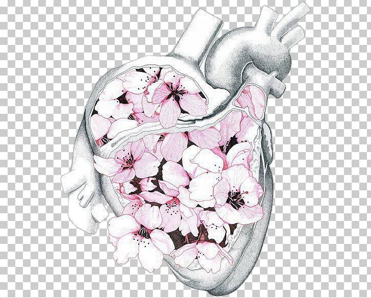 Human Anatomy Heart Human Body PNG, Clipart, Anatomy, Art, Cardiac Muscle, Circulatory System, Cut Flowers Free PNG Download