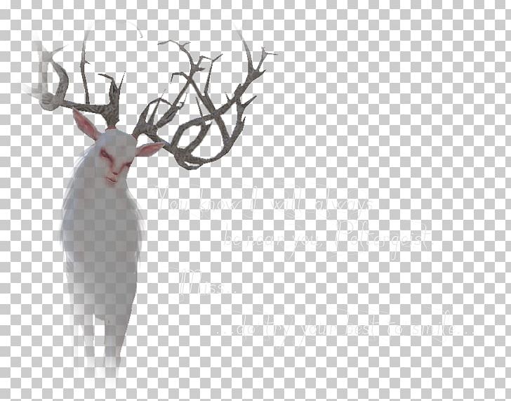 Reindeer Antler Wildlife Font PNG, Clipart, Antler, Cartoon, Deer, Horn, Mammal Free PNG Download