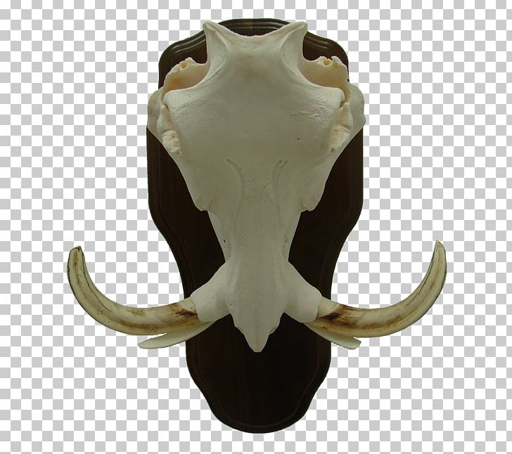 Cattle Jaw Jeffrey Horn PNG, Clipart, Cattle, Horn, Jaw, Jeffrey Horn, Others Free PNG Download