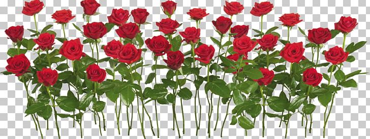 Rose Garden Flower PNG, Clipart, Artificial Flower, Computer Icons, Cut Flowers, Download, Flower Arranging Free PNG Download