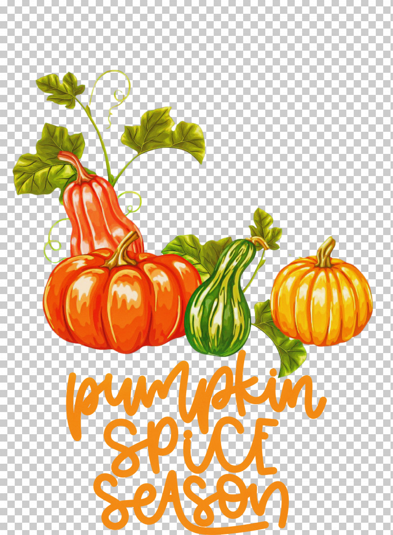 Autumn Pumpkin Spice Season Pumpkin PNG, Clipart, Autumn, Cucurbita Maxima, Fruit, Gourd, Melon Free PNG Download