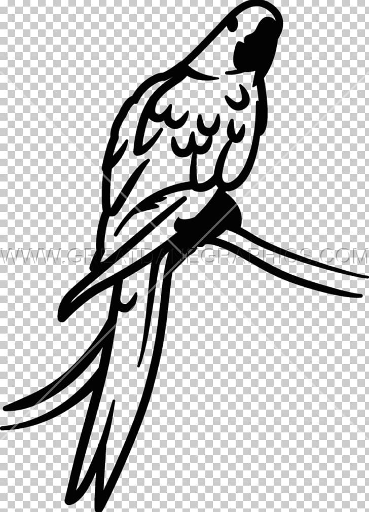 Beak Line Art PNG, Clipart, Artwork, Beak, Bird, Black And White, Branch Free PNG Download