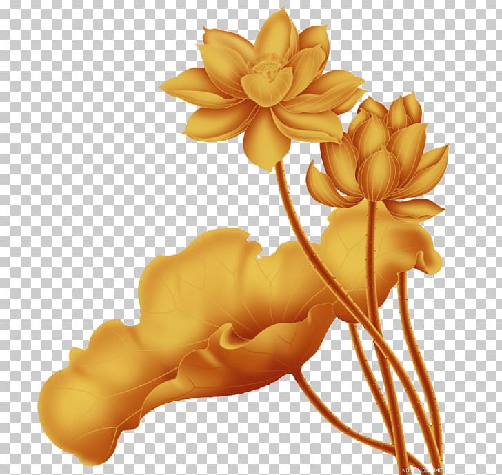China Nelumbo Nucifera Gold PNG, Clipart, Chinese New Year, Chinese Style, Christmas Decoration, Commodity, Decorative Free PNG Download