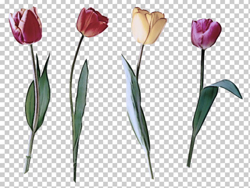 Floral Design PNG, Clipart, Artificial Flower, Cut Flowers, Floral Design, Flower, Flower Bouquet Free PNG Download