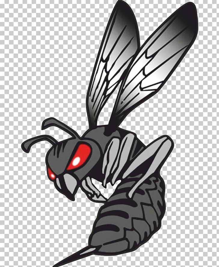hornet clipart black and white