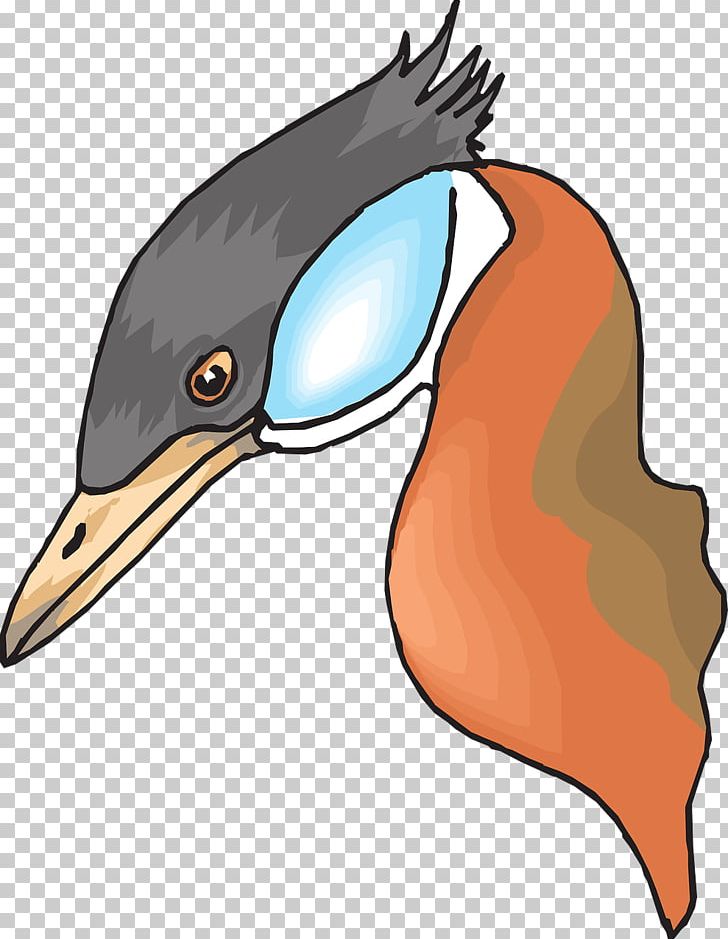 Duck Bird Mallard Beak PNG, Clipart, Anas, Animal, Animals, Beak, Bird Free PNG Download
