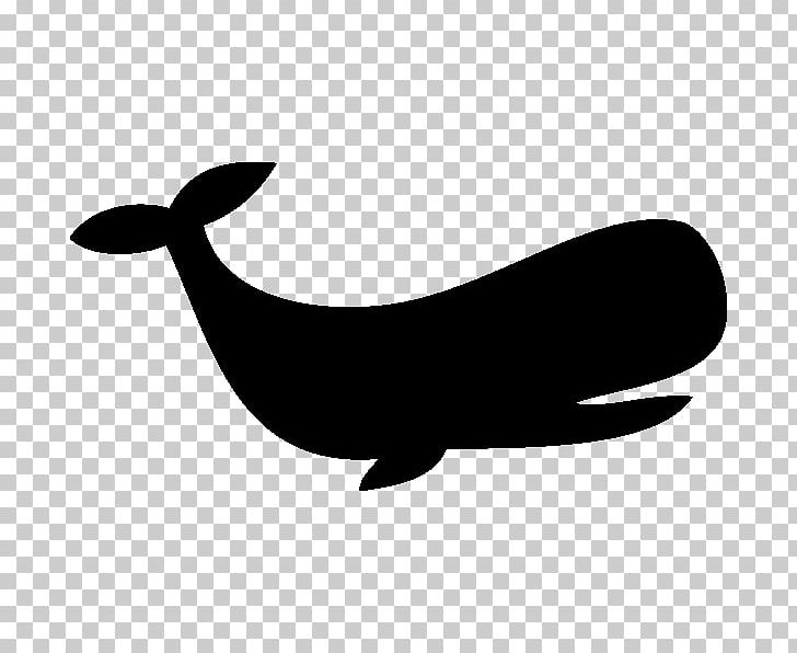 Silhouette Stencil Drawing Sea Lion PNG, Clipart, Animals, Art, Beak, Black And White, Drawing Free PNG Download