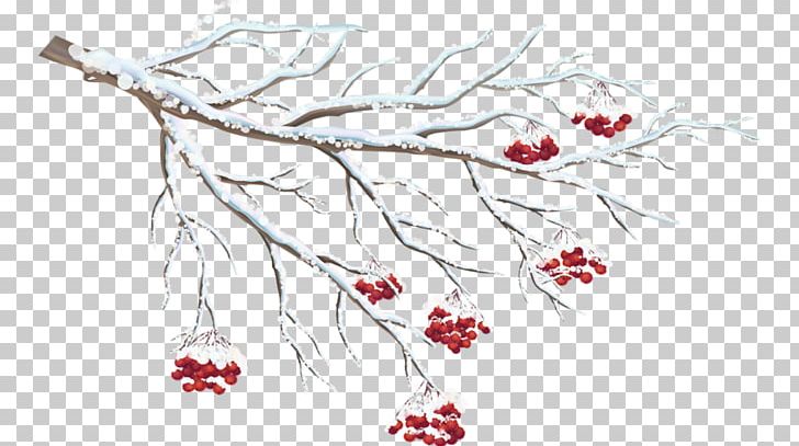 Winter PNG, Clipart, Art, Artwork, Berry, Branch, Creative Arts Free PNG Download