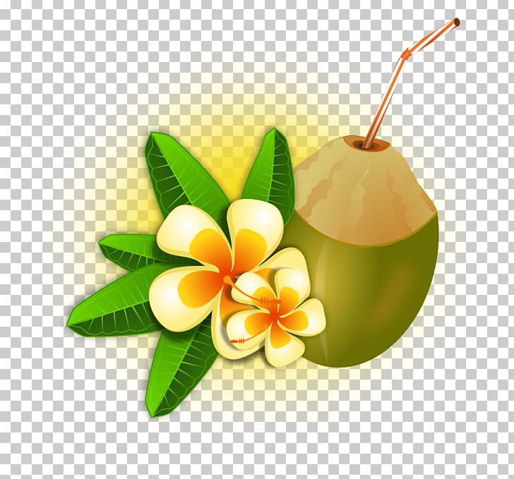 Coconut Water Cocktail Cuisine Of Hawaii Coconut Milk PNG, Clipart, Cocktail, Coconut, Coconut Milk, Coconut Water, Cuisine Of Hawaii Free PNG Download