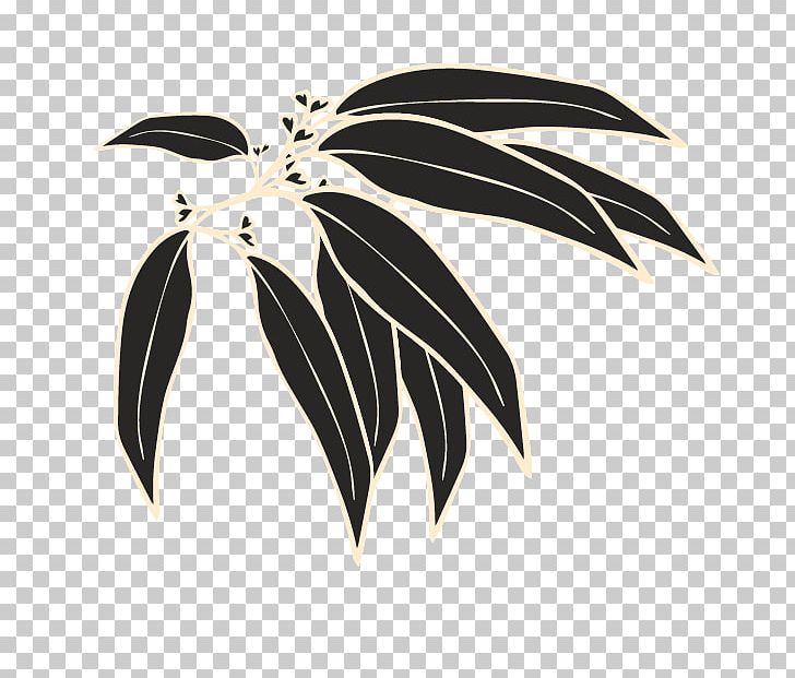 Plant PNG, Clipart, Essential, Essential Oil, Eucalyptus, Food Drinks, Oil Free PNG Download