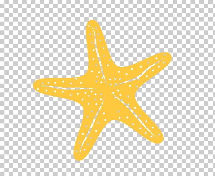 Starfish Invertebrate Sea PNG, Clipart, Animal, Animals, Apartment, Clip Art, Computer Icons Free PNG Download