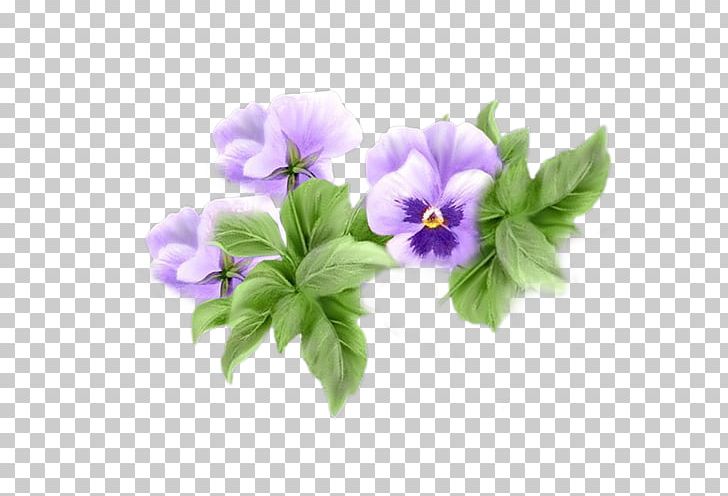 Animation Tenor Giphy PNG, Clipart, Animation, Blog, Cartoon, Flower, Flowering Plant Free PNG Download